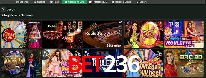 bet236 bet