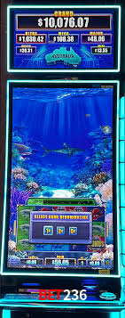 Descubra o Mundo do Cassino Online com bet236